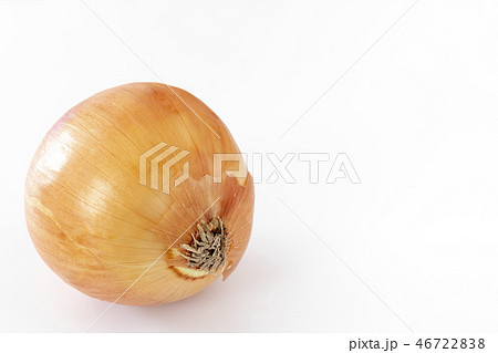 玉ねぎ 白バック 玉ねぎ 白バック 46722838