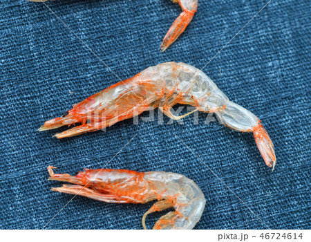 干した桜えび、乾物、静岡県駿河湾産の乾燥の桜エビ、サクラエビ、桜海老、桜えび。 干した桜えび、乾物、静岡県駿河湾産の乾燥の桜エビ、サクラエビ、桜海老、桜えび。 46724614