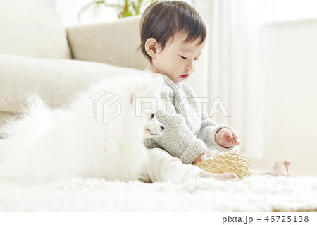 幼児 子供 犬 46725138