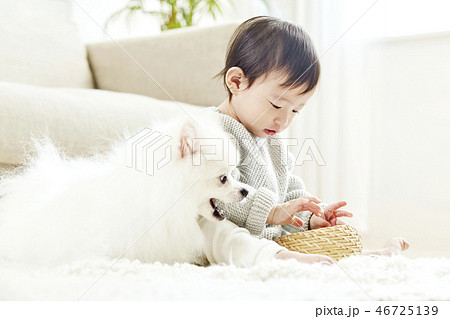 幼児 子供 犬 46725139