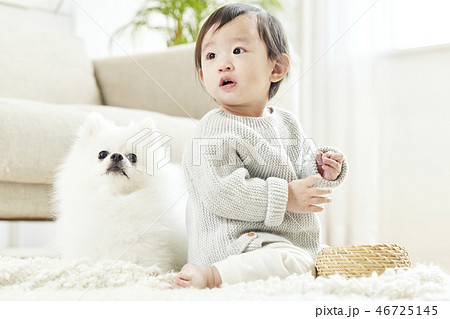 幼児 リビングルーム 犬 46725145