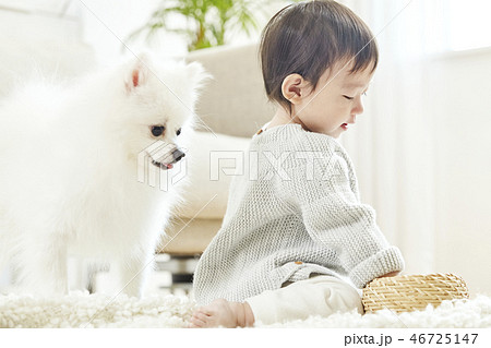 幼児 子供 犬の写真素材