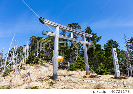 弥山 山頂への参道 弥山 山頂への参道 46725178