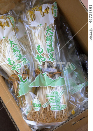 大鰐温泉もやし 46725391