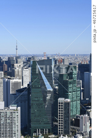 日本の東京都市景観　東京スカイツリーや超高層ビル群を望む 46725617