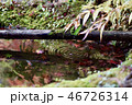 京都山科毘沙門堂の美しい水面の波紋と紅葉 46726314