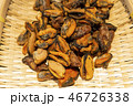 ムール貝 シーフード 藻類 46726338