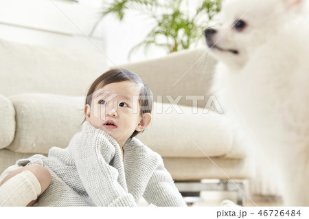 幼児 人 人間 46726484