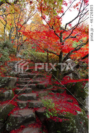 百済寺 百済寺 46726805