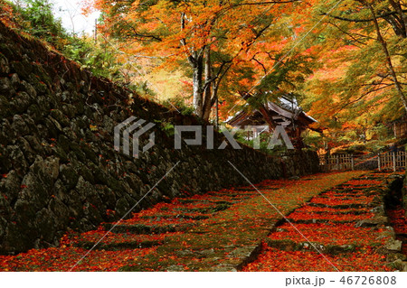 百済寺 百済寺 46726808