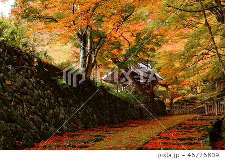 百済寺 百済寺 46726809