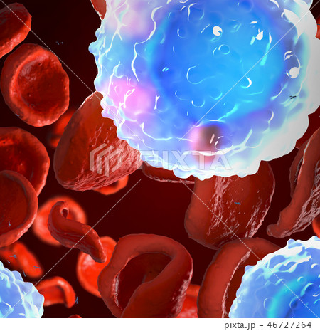 Observed white blood cells,called leukocytes Observed white blood cells,called leukocytes 46727264