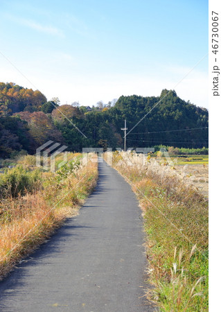 久慈川の堤防上の小径 46730067
