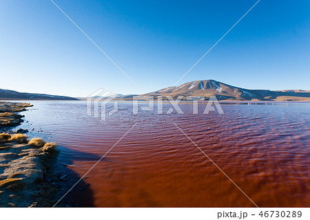 Laguna Colorada view, Bolivia 46730289