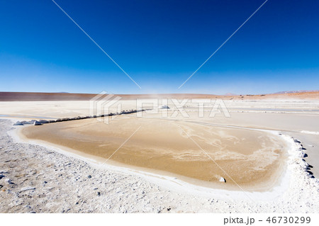 Bolivian lagoon view,Bolivia 46730299