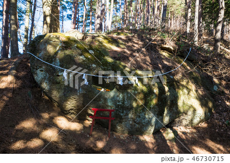 新倉山 登山道 （山梨県富士吉田市） ※2016年12月撮影 46730715