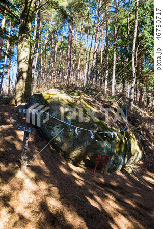 新倉山 登山道 （山梨県富士吉田市） ※2016年12月撮影 46730717