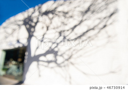 白壁にかかる木の影 ロス ソフトフォーカス 白壁にかかる木の影 ロス ソフトフォーカス 46730914