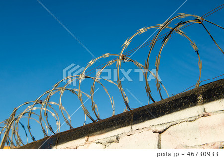 とぐろを巻くトゲトゲフェンス 46730933