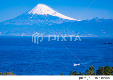 静岡県 伊豆から駿河湾越しに 春の富士山の写真素材