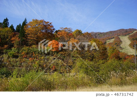 夏油高原は紅葉シーズン 夏油高原は紅葉シーズン 46731742