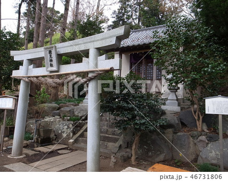 興国寺城 興国寺城 46731806