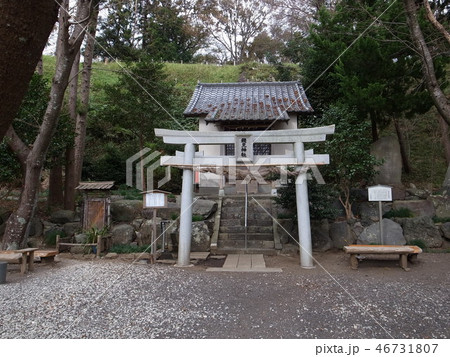 興国寺城 興国寺城 46731807