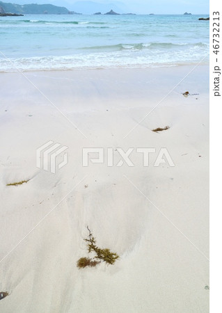 背景素材　白い浜に打ち上げられた海藻　水色の海 46732213