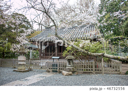 Stone lanterns (Ishidoro) in front of shrine. Stone lanterns (Ishidoro) in front of shrine. 46732556