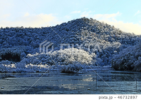 深泥池の雪景色 深泥池の雪景色 46732897