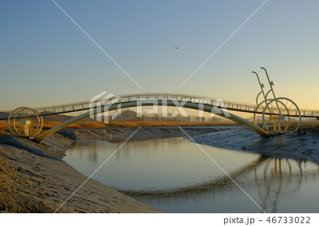 日の出 微生物の足 自転車の脚 46733022