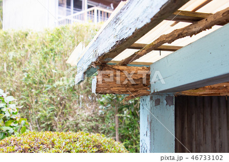 シロアリに食われた小屋　シロアリ被害 46733102