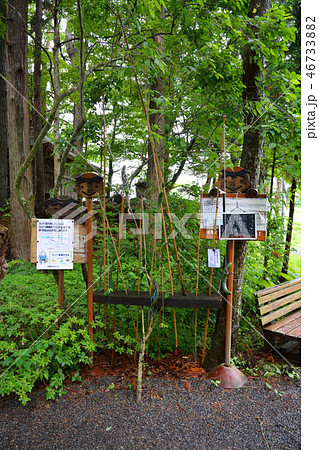 岩手県 遠野 カッパ淵 岩手県 遠野 カッパ淵 46733882