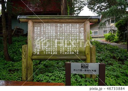 岩手県　遠野　カッパ淵 46733884