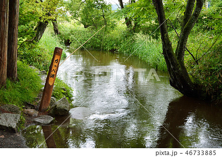 岩手県　遠野　カッパ淵 46733885