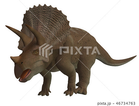 恐竜 トリケラトプスのイラスト素材