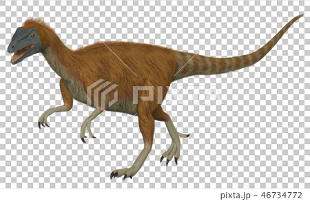 Dinosaur: Shinosauropteryx 46734772