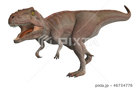 恐竜 ギガノトサウルスのイラスト素材
