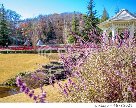 【静岡県伊豆市】冬のテーマパーク風景【修善寺虹の郷】 【静岡県伊豆市】冬のテーマパーク風景【修善寺虹の郷】 46735029