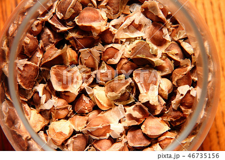 モリンガ04 46735156