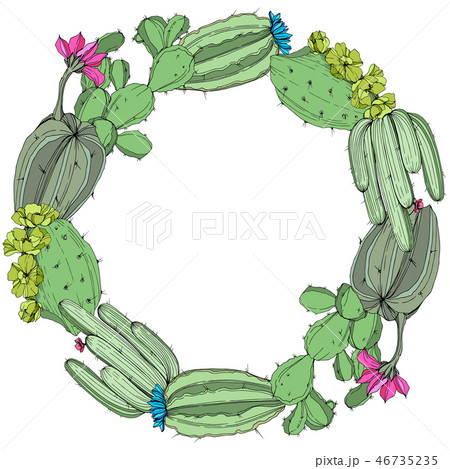 Vector Green cactus floral botanical flower. Engraved ink art. Frame border ornament square. Vector Green cactus floral botanical flower. Engraved ink art. Frame border ornament square. 46735235