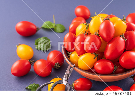 トマト ﾄﾏﾄ とまと 46737481