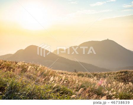 grass hill in autumn grass hill in autumn 46738639