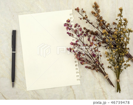 Bouquet of dried Gypsophila flowers for decoration 46739478