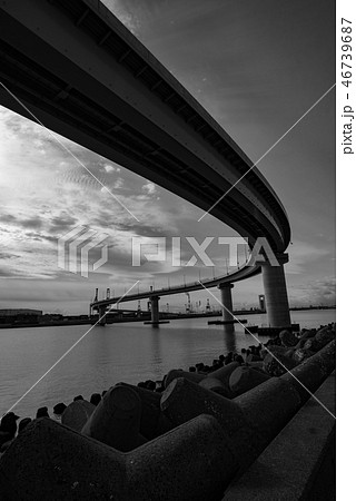 （セピア）いなばポートライン 46739687