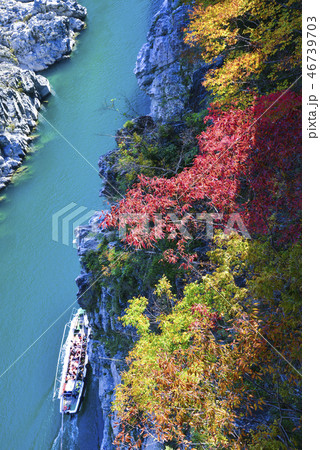 紅葉の峡谷観光船 46739703