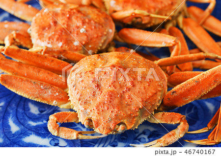 冬の味覚せいこがに 冬の味覚せいこがに 46740167