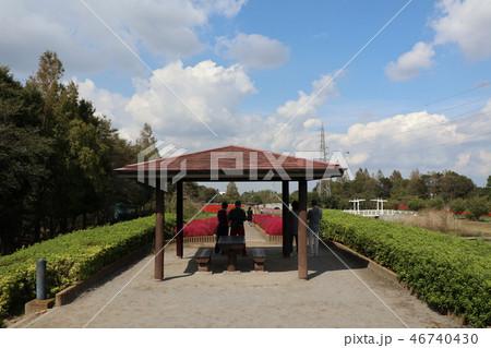 さいたま市花の丘公苑 46740430