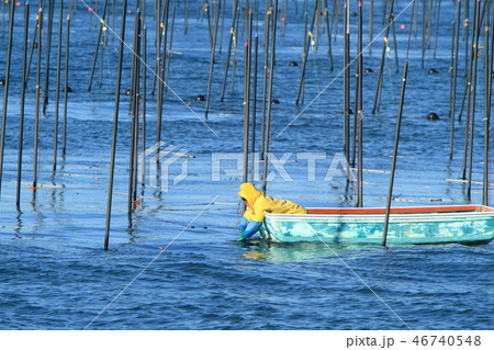 大牟田市 三池港 海苔船、 大牟田市 三池港 海苔船、 46740548