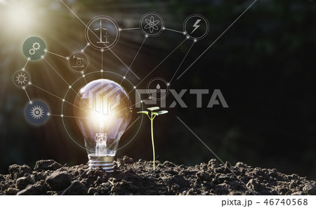 Energy saving light bulb and tree growing Energy saving light bulb and tree growing 46740568